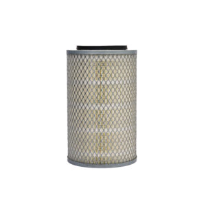Air Filter, Primary
